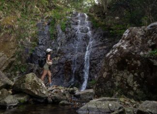 HK’s Hidden Outdoor Gems: 7 Things to do in Hong Kong That Have Nothing to do with Eating or Shopping Scatter Falls in Tai Mo Shan