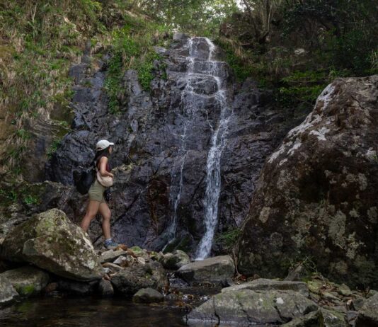 HK’s Hidden Outdoor Gems: 7 Things to do in Hong Kong That Have Nothing to do with Eating or Shopping Scatter Falls in Tai Mo Shan