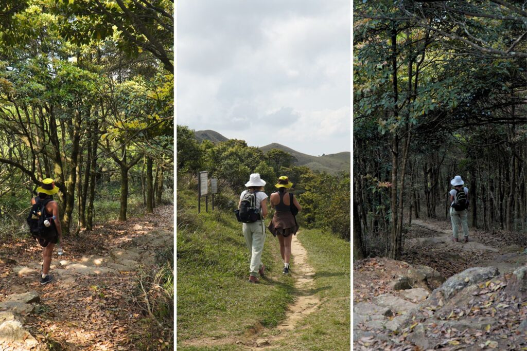The different trails of Tai Mo Shan