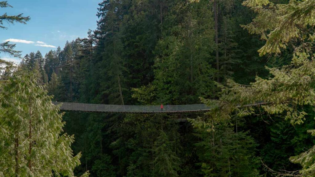 Capilano Suspension Bridge Park - Things to do in Vancouver