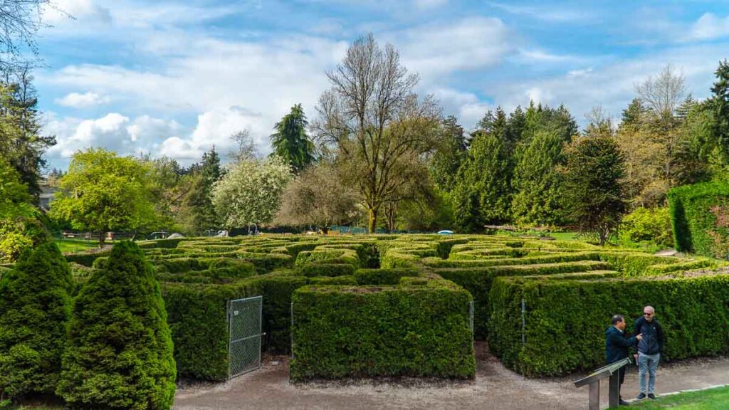 Hedge Maze in VanDusen Botanical Park - Vancouver attractions