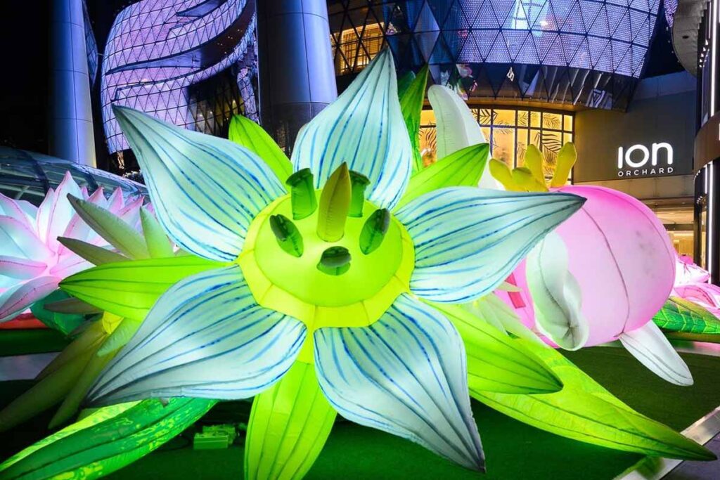 ION Orchard illuminated gigantic floral display - New Things to do in Singapore May 2024