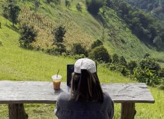 Ultimate Guide to the Best Travel Insurance for Digital Nomads (2025) Woman Remote Working in Thailand - Best Travel Insurance for Remote Workers