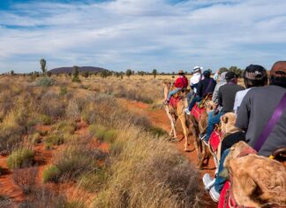 Family-friendly Uluru Itinerary — 7 Days in Australia’s Famous Rugged Outback FEATURED IMG - Uluru and Surrounds Northern Territory Red Centre Central Australia Itinerary_