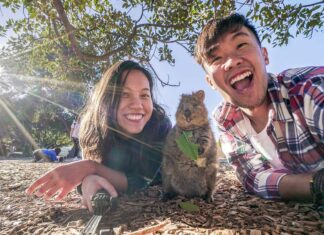 Rottnest Island Guide — Day Trip with Epic Skydiving, Pristine Beaches, and Selfies with Adorable Quokkas Featured - Rottnest Island Guide