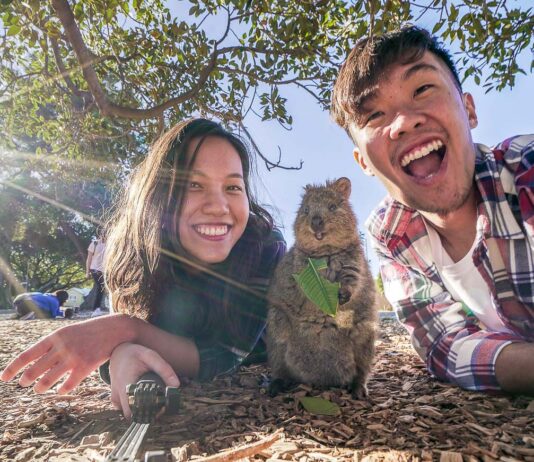 Featured - Rottnest Island Guide