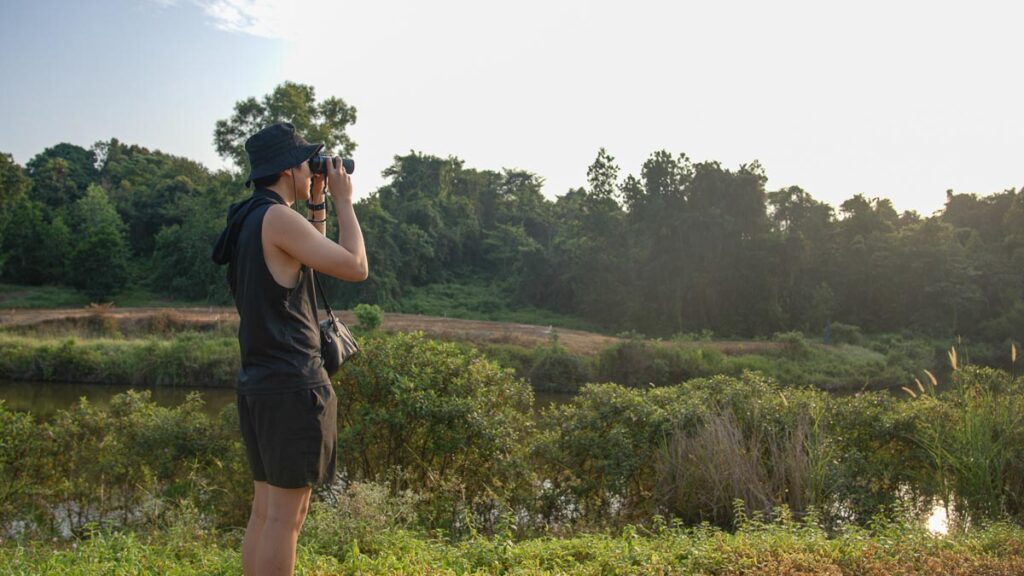 Man on Birdwatching Tour in Desaru - Things to see in Desaru