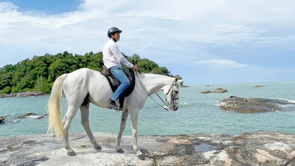 Island Horses Langkawi - Beach Horse-Riding - Short Getaways from Singapore