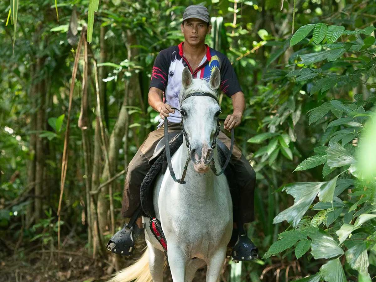 Island Horses Langkawi - Mountains - Short Getaways from Singapore