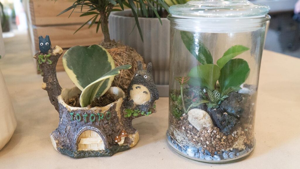 Terrarium Workshop - Things to do in JB