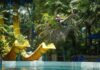 ESCAPE Penang - Slide - Things to Do in Penang