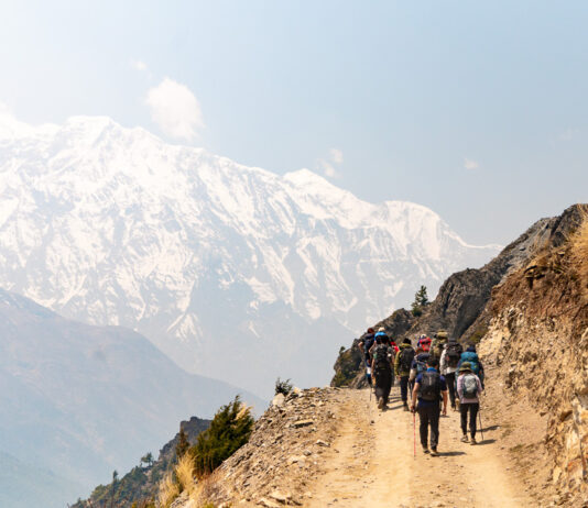 Beginner’s Guide to Mardi Himal Trek — Climbing Nepal’s Most Accessible Mountain Featured-Mardi Himal Trek