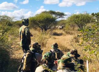 Choosing Conservation Over Luxury Holidays: My Journey as Singapore’s First Anti-Poaching Ranger in Protrack South Africa South Africa Anti Poaching Ranger - Choosing Conservation over Luxury - Rhinos during patrol