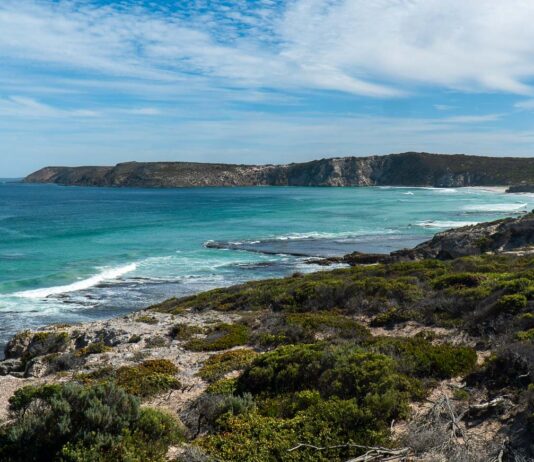 Featured - Pennington Bay