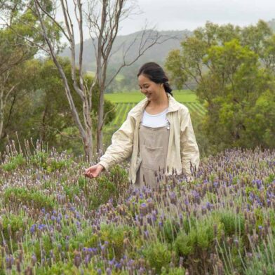 Lyndoch Lavender Farm - Things to do in South Australia Girl Visiting Lyndoch Lavender Farm - Things to do in South Australia