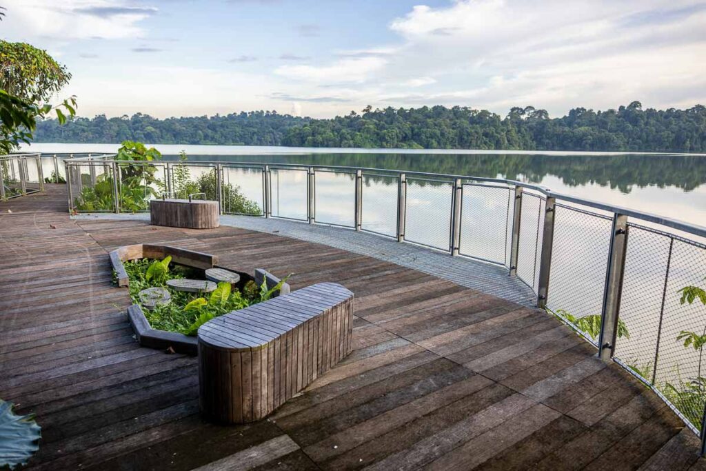 New Mandai Boardwalk - New Things to Do in Singapore Feb 2025