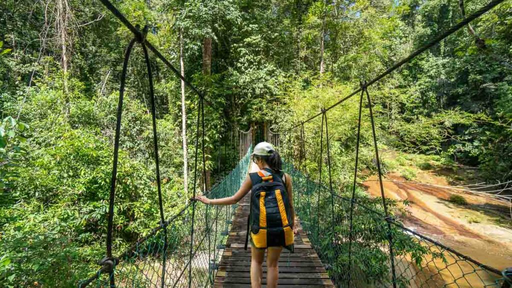 Woman standing on bridge in Lambir Hills National Park - Sarawak guide