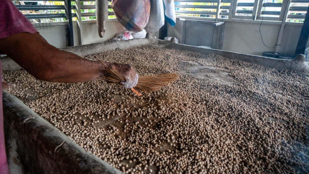 Sago pellets production - Sarawak guide