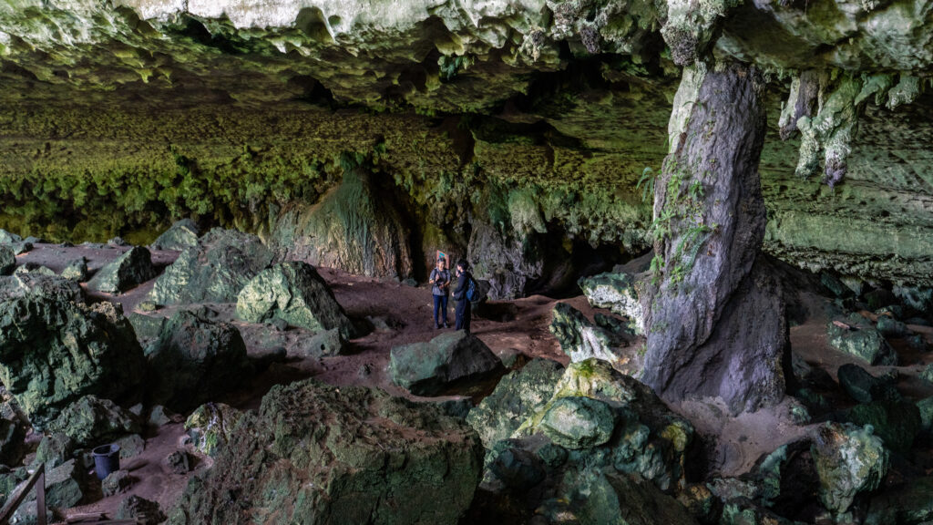 Niah National Park - Sarawak guide