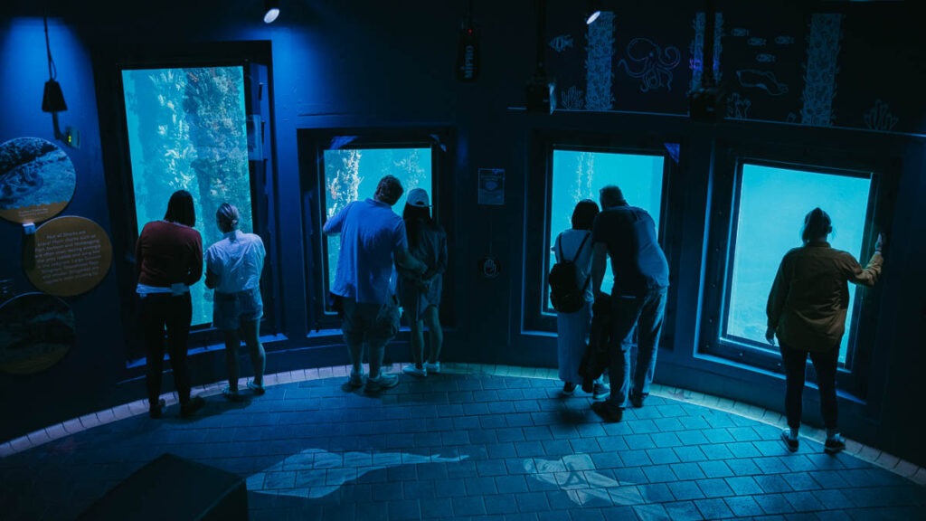 People at Busselton Underwater Observatory - Western Australia Bucket List