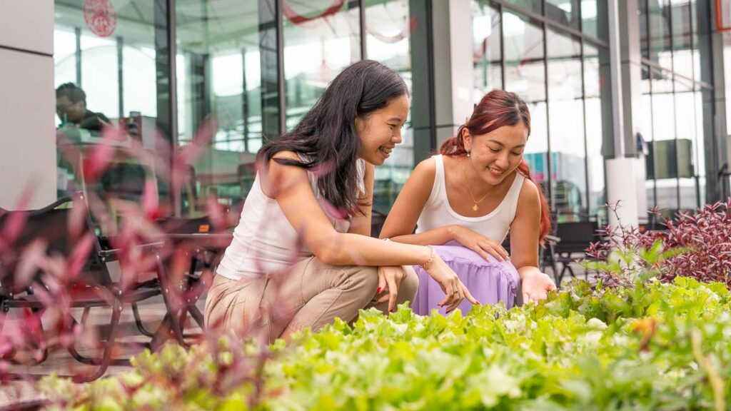 Friends looking at plants in Cosmo Seeds - Things to eat in Skudai