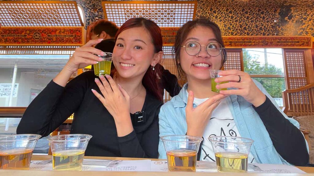 Tea Tasting on Two Stars 4047 Train - JR Kyushu Pass Itinerary