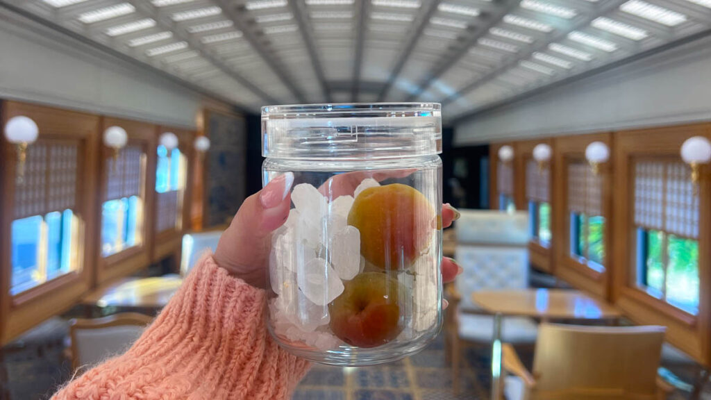 Plum Syrup activity on 36+3 train - JR Kyushu Pass Itinerary