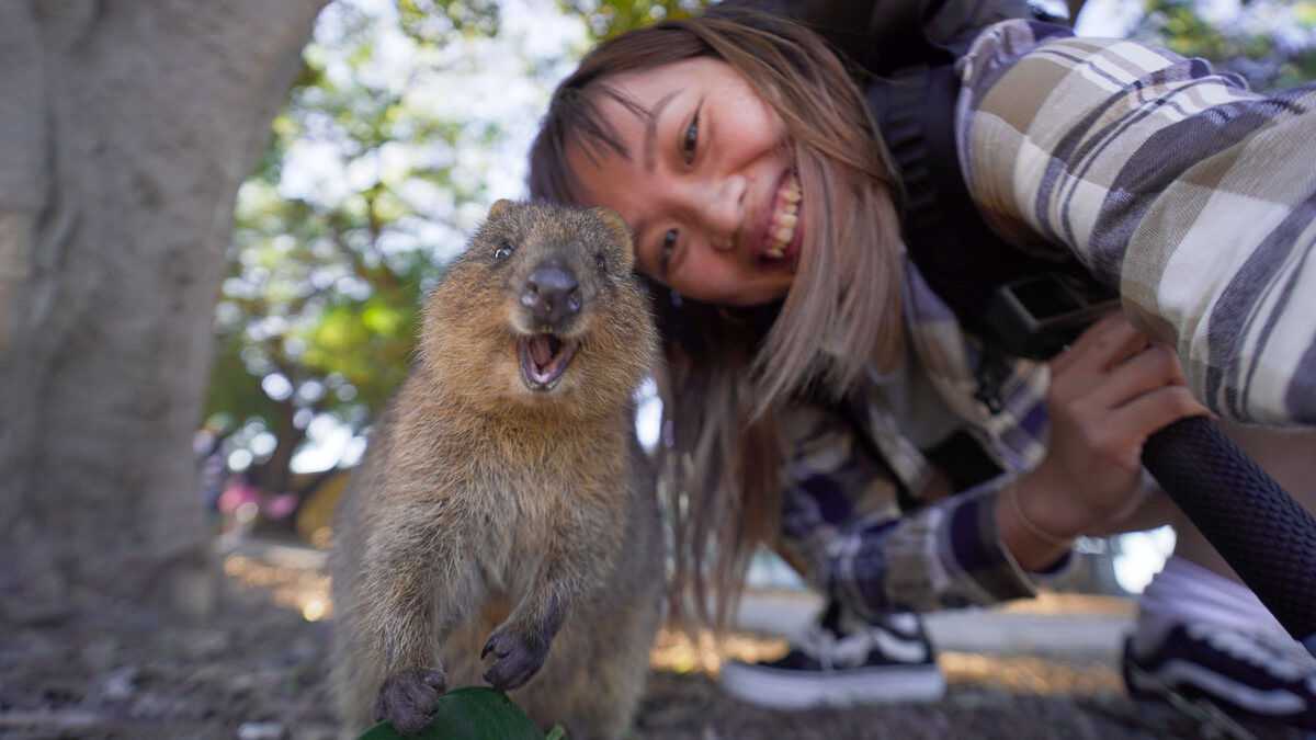 Rottnest Island Quokka - Western Australia Instagram Hotspots