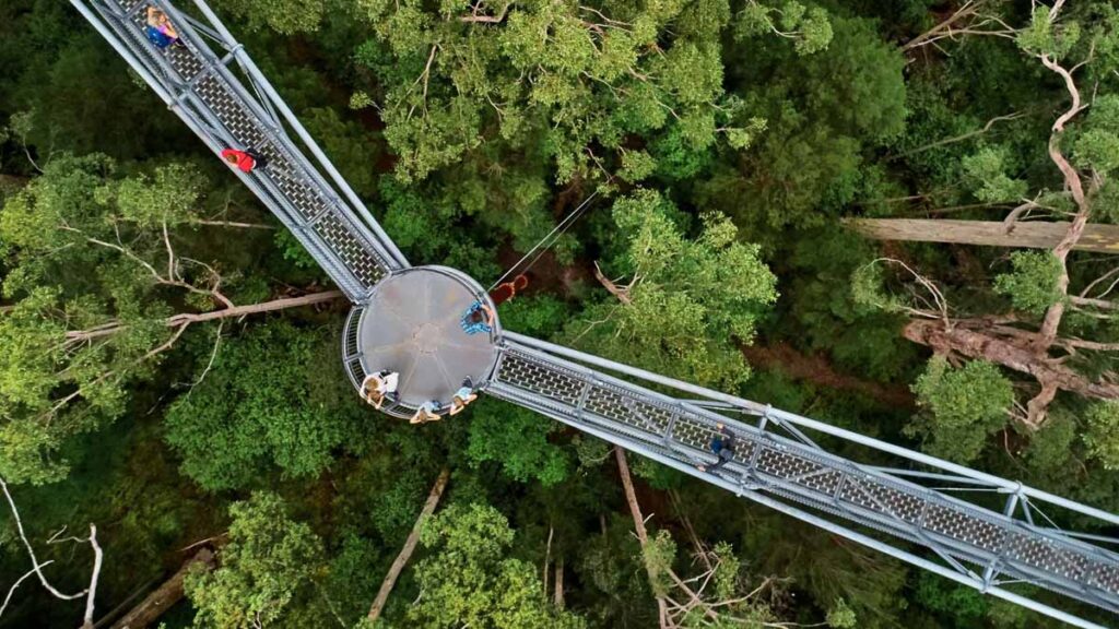 Valley of the Giants Treetop Walk - Western Australia Bucket List