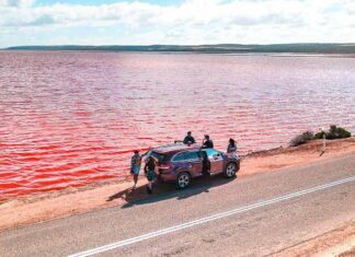 The Great Western Australia Bucket List: 19 Experiences and Day Trips from Perth for an Unforgettable Adventure Featured Image - Western Australia Bucket List
