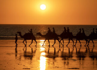 9 Surreal Things to Do in Broome, Western Australia — A Dreamlike Coastal Paradise (only a 4hr Direct Flight Away from SG) Featured - Things to do in Broome