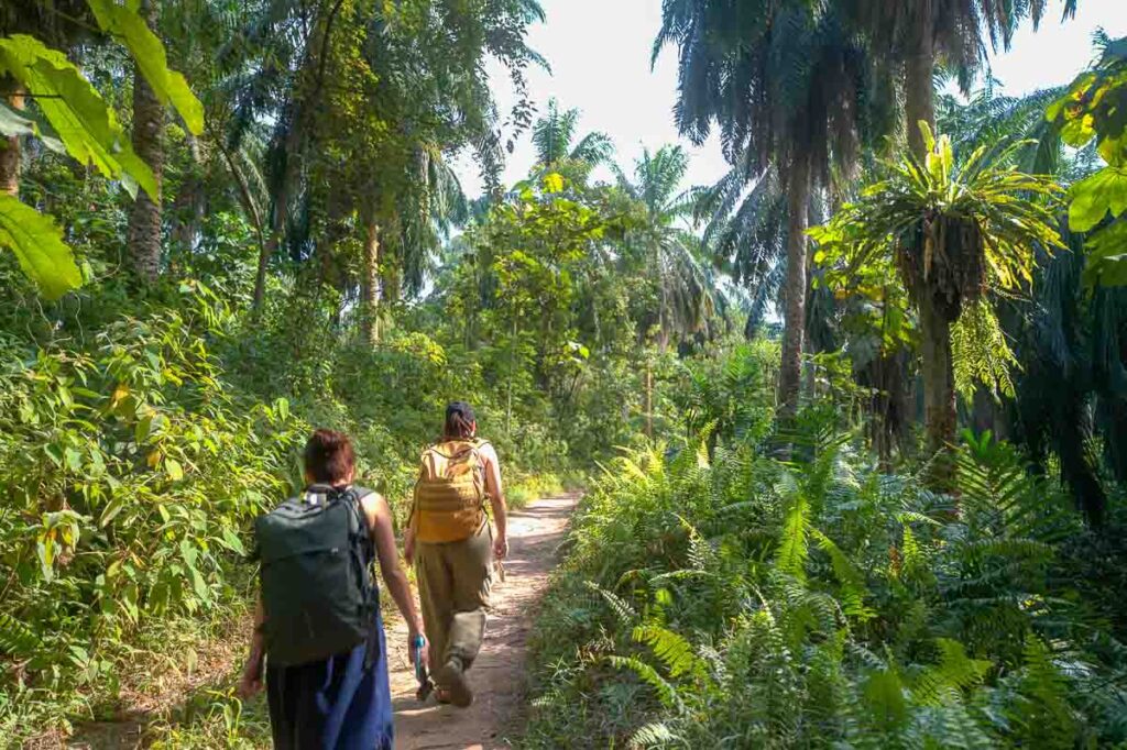 Hikers walking on trail towards the lookout point - JB Hiking