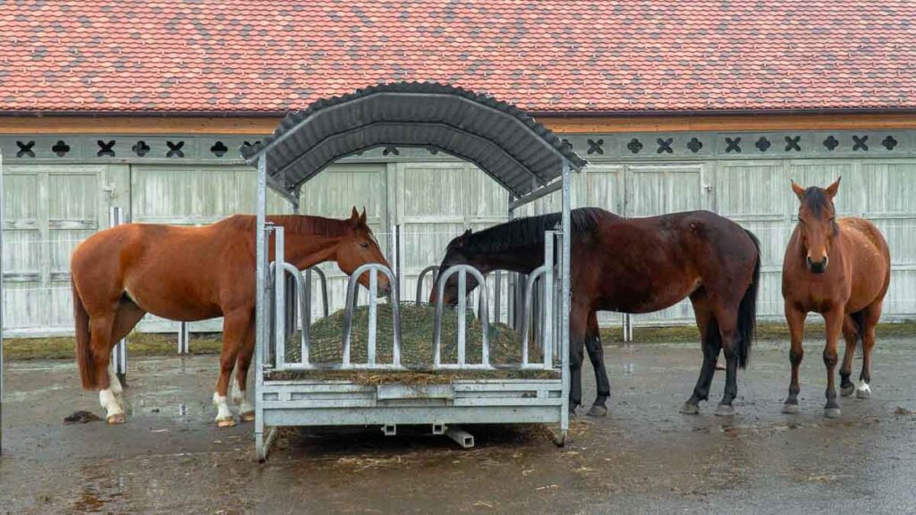 Horse stable in Einsiedeln Abbey - Things to do in Einsiedeln