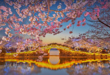 Lake Taihu Cherry Blossoms - Things to Do in Wuxi
