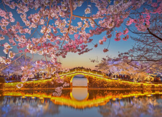 Skip the Crowds! Here are 6 Budget-Friendly Destinations that Rival Tourist Hotspots (for an Unforgettable Mid-Year Getaway) Lake Taihu Cherry Blossoms - Things to Do in Wuxi