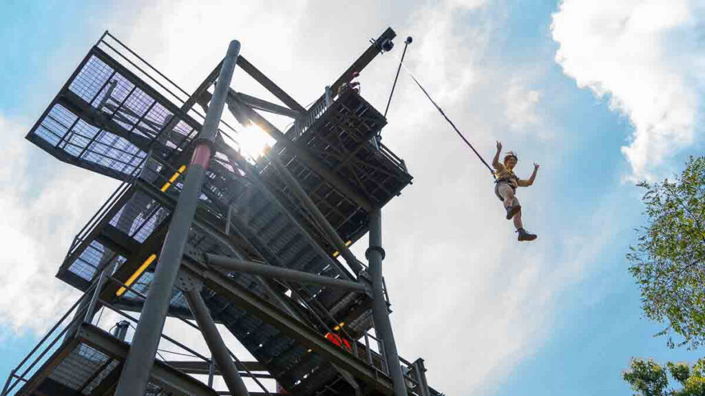 Rainforest Wild Asia high element - New Things to Do in Singapore March 2025
