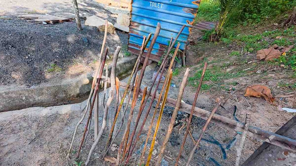 Twigs and branches as hiking sticks left by other hikers - Kangkar Pulai Blue Lake Hike Guide