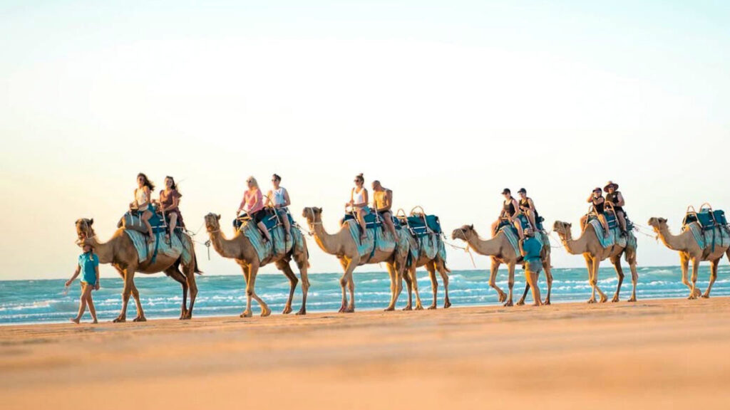 blue camels on cable beach - Things to do in Broome