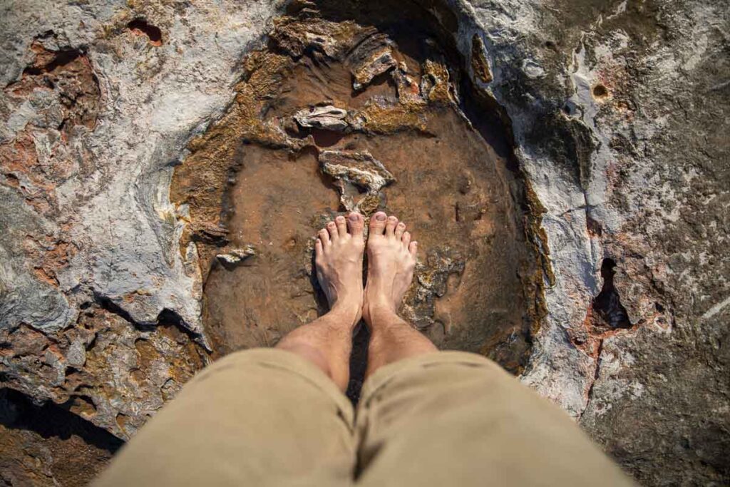 feet in dinosaur footprint - Things to do in Broome
