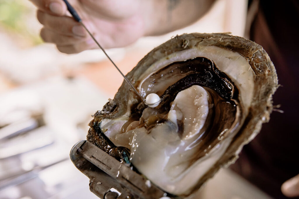 pearl harvesting - Things to do in Broome