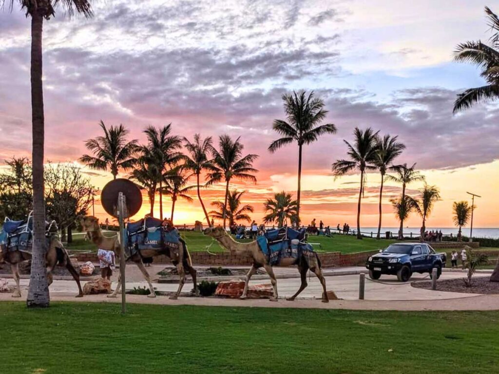 sunset at sunset bar and grill