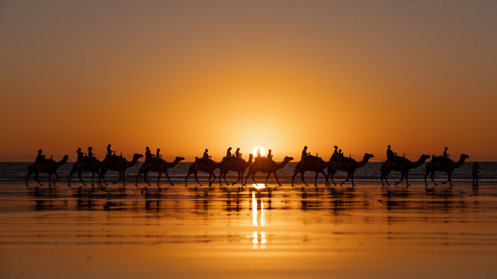 Sunset with camel train
