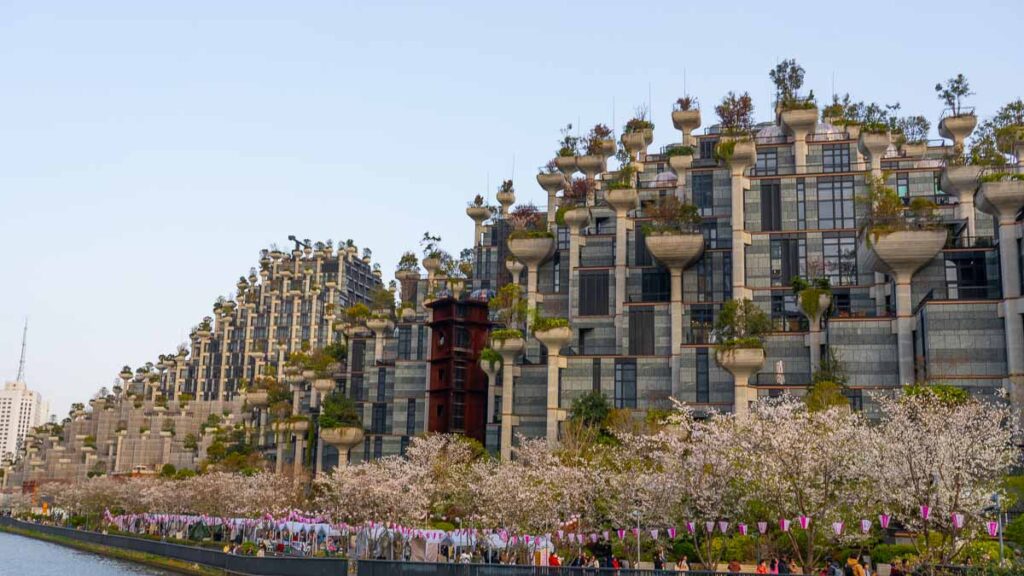 100 Trees - Things to see in Shanghai