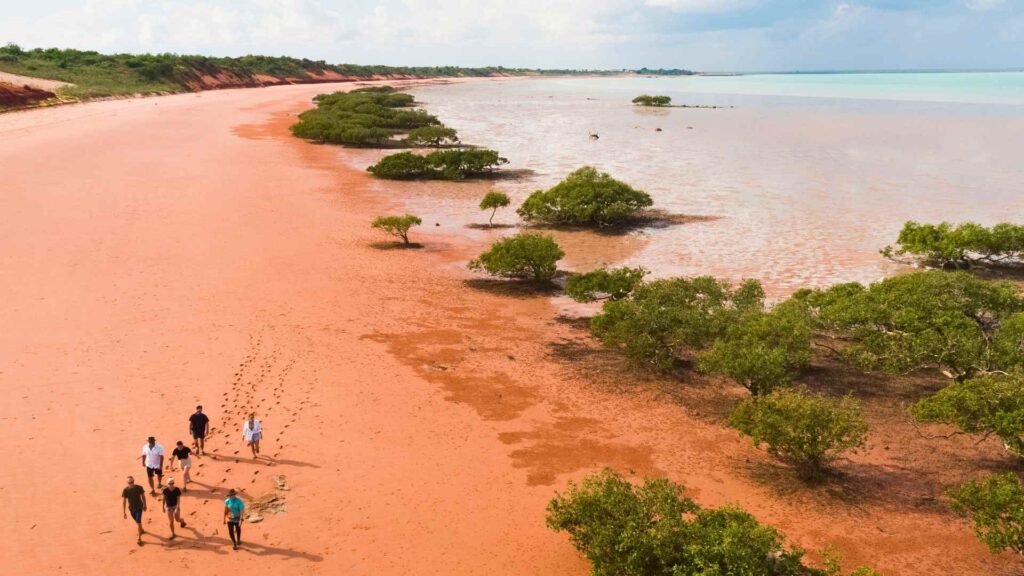 Broome Dinosaur Adventure Tours - Things to do in Broome