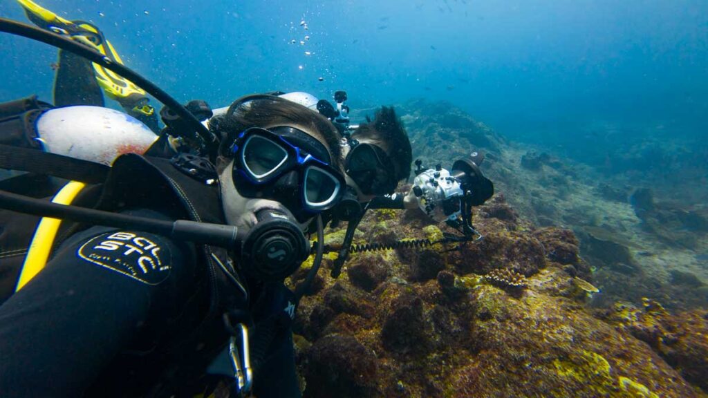 Castle Rock Dive Site - Komodo National Park