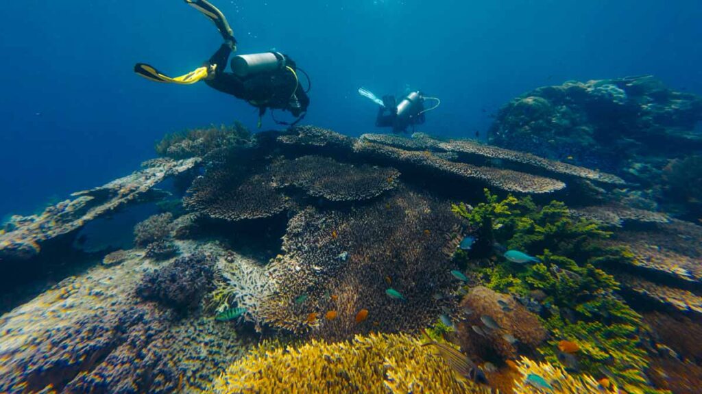 Komodo Diving Cauldron Shotgun - things to do in indonesia