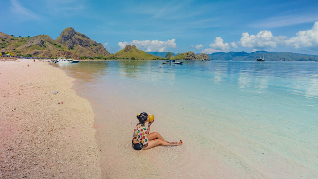 Pink Beach Komodo National Park - Island Hopping