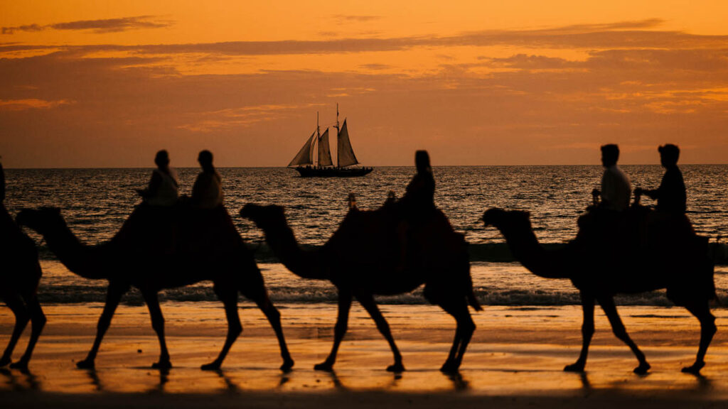 Closeup Sunset with Camels - Things to do in Broome