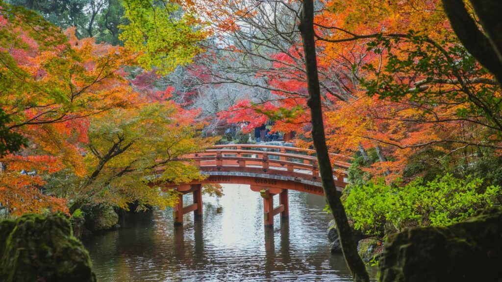 Kyoto Park in Autumn - AI Travel Planner