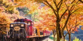 Kyoto Sagano Romantic Train - AI Travel Planner